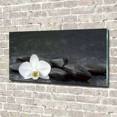 Wallmuralia Foto obraz fotografie na skle Orchidej 100x50 cm 4 úchytky