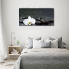 Wallmuralia Foto obraz fotografie na skle Orchidej 100x50 cm 4 úchytky