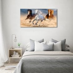 Wallmuralia Foto obraz fotografie na skle Koně na poušti 120x60 cm 4 úchytky