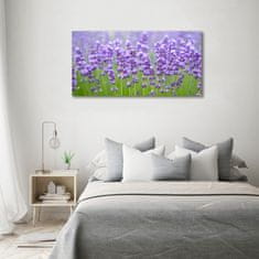 Wallmuralia Fotoobraz skleněný na stěnu do obýváku Levandule 100x50 cm 4 úchytky