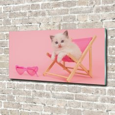 Wallmuralia Foto obraz skleněný horizontální Kočka na lehátku 100x50 cm 2 úchytky
