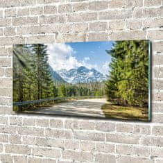 Wallmuralia Foto obraz fotografie na skle Cesta Tatry 140x70 cm 2 úchytky