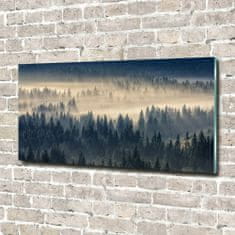 Wallmuralia Foto obraz fotografie na skle Mlha nad lesem 140x70 cm 2 úchytky