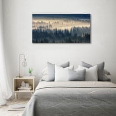 Wallmuralia Foto obraz fotografie na skle Mlha nad lesem 100x50 cm 4 úchytky