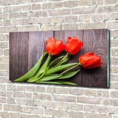 Wallmuralia Foto obraz fotografie na skle Červené tulipány 100x50 cm 2 úchytky