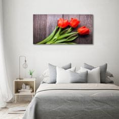 Wallmuralia Foto obraz fotografie na skle Červené tulipány 100x50 cm 2 úchytky