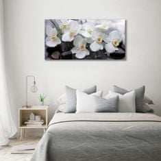 Wallmuralia Foto obraz skleněný horizontální Orchidej 100x50 cm 4 úchytky