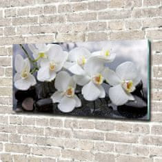 Wallmuralia Foto obraz skleněný horizontální Orchidej 100x50 cm 4 úchytky