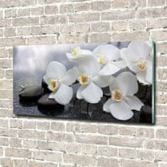 Wallmuralia Fotoobraz na skle Orchidej 100x50 cm 4 úchytky