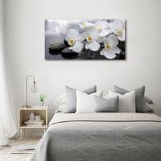 Wallmuralia Fotoobraz na skle Orchidej 100x50 cm 4 úchytky