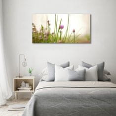 Wallmuralia Foto obraz sklo tvrzené Pažitka 120x60 cm 4 úchytky