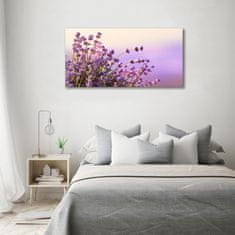 Wallmuralia Foto-obrah sklo tvrzené Levandule 100x50 cm 4 úchytky