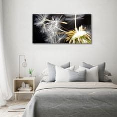 Wallmuralia Foto obraz canvas Semeno pampelišky 140x70 cm