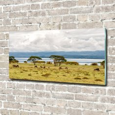 Wallmuralia Foto obraz fotografie na skle Jezero Naivasha 100x50 cm 2 úchytky