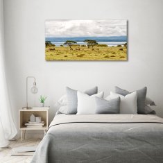 Wallmuralia Foto obraz fotografie na skle Jezero Naivasha 100x50 cm 2 úchytky