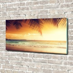 Wallmuralia Fotoobraz na skle Tropická pláž 100x50 cm 2 úchytky