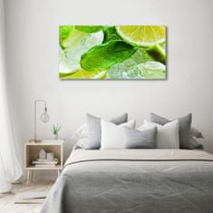 Wallmuralia Foto obraz canvas Limetka s ledem 140x70 cm