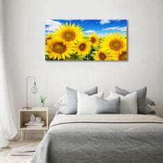 Wallmuralia Foto-obrah sklo tvrzené Slunečníky 120x60 cm 4 úchytky