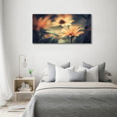 Wallmuralia Foto-obraz fotografie na skle Jarní květ 100x50 cm 4 úchytky