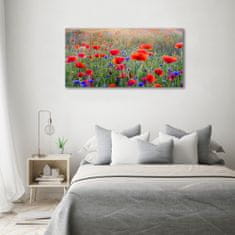 Wallmuralia Foto-obrah sklo tvrzené Plolní květiny 100x50 cm 2 úchytky