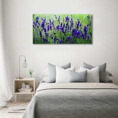 Wallmuralia Foto-obrah sklo tvrzené Levandule 100x50 cm 4 úchytky