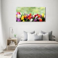 Wallmuralia Foto-obraz fotografie na skle Barevné tulipány 120x60 cm 2 úchytky