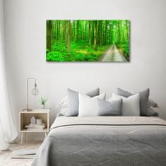 Wallmuralia Foto obraz skleněný horizontální Stromy v lese 120x60 cm 2 úchytky