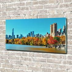 Wallmuralia Foto obraz skleněný horizontální New York podzim 140x70 cm 2 úchytky