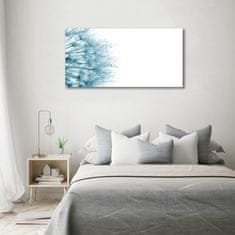 Wallmuralia Foto obraz skleněný horizontální Pampeliška 100x50 cm 2 úchytky