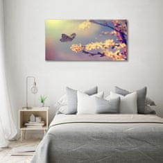 Wallmuralia Foto-obraz fotografie na skle Květ viště a motýl 100x50 cm 2 úchytky