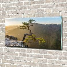 Wallmuralia Foto obraz skleněný horizontální Sokolice Pieniny 100x50 cm 2 úchytky