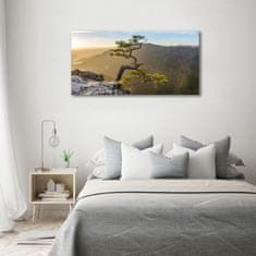 Wallmuralia Foto obraz skleněný horizontální Sokolice Pieniny 100x50 cm 2 úchytky