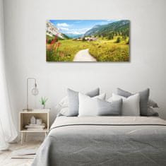 Wallmuralia Foto obraz skleněný horizontální Pastvina v Alpách 120x60 cm 2 úchytky