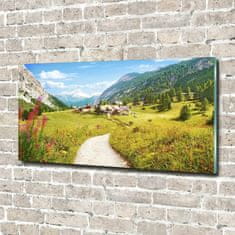 Wallmuralia Foto obraz skleněný horizontální Pastvina v Alpách 120x60 cm 2 úchytky