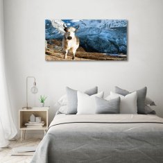 Wallmuralia Foto obraz fotografie na skle Jako hory 120x60 cm 4 úchytky