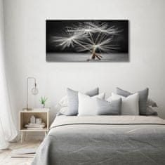 Wallmuralia Foto obraz skleněný horizontální Semeno pampelišky 100x50 cm 2 úchytky