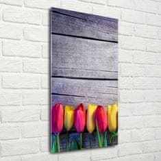 Wallmuralia Vertikální Fotoobraz na skle Barevné tulipány 70x140 cm 2 úchytky