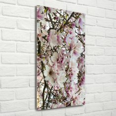 Wallmuralia Vertikální Fotoobraz na skle Květy magnolie 70x140 cm 4 úchytky