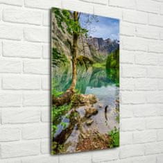 Wallmuralia Vertikální Foto obraz skleněný svislý Jezero v horách 70x140 cm 2 úchytky