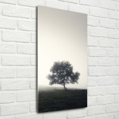 Wallmuralia Vertikální Foto obraz fotografie na skle Dřevo v mlze 70x140 cm 4 úchytky