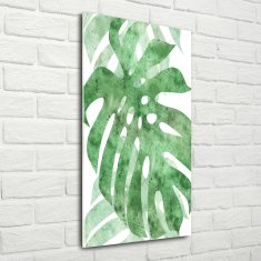 Wallmuralia Vertikální Foto-obrah sklo tvrzené Monstera 50x100 cm 4 úchytky