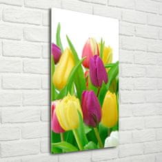 Wallmuralia Vertikální Fotoobraz na skle Barevné tulipány 50x100 cm 4 úchytky