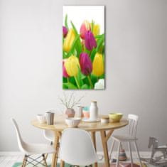 Wallmuralia Vertikální Fotoobraz na skle Barevné tulipány 50x100 cm 4 úchytky