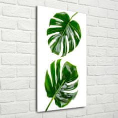 Wallmuralia Vertikální Foto-obrah sklo tvrzené Monstera 50x100 cm 2 úchytky