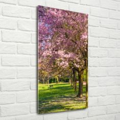 Wallmuralia Vertikální Foto obraz sklo tvrzené Višně 50x100 cm 4 úchytky