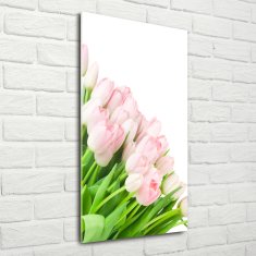 Wallmuralia Vertikální Fotoobraz na skle Růžové tulipány 50x100 cm 4 úchytky