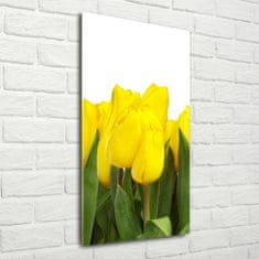 Wallmuralia Vertikální Foto obraz fotografie na skle Žluté tulipány 50x100 cm 4 úchytky