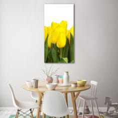 Wallmuralia Vertikální Foto obraz fotografie na skle Žluté tulipány 50x100 cm 4 úchytky