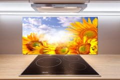 Wallmuralia Dekorační panel sklo Slunečníky 100x50 cm