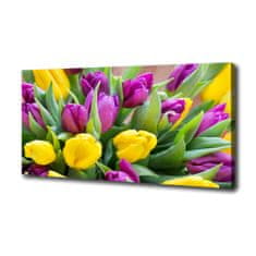 Wallmuralia Foto obraz canvas Barevné tulipány 100x50 cm